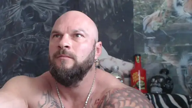 Show webcam de viking_30