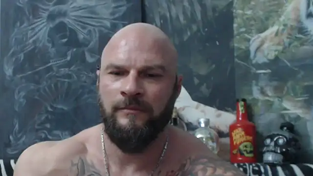 viking_30 Show in webcam