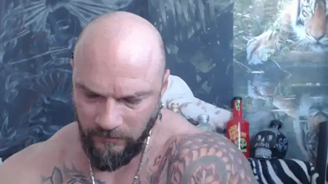 viking_30 网络视讯表演