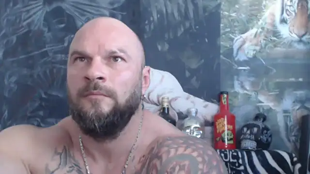 viking_30 网络视讯表演