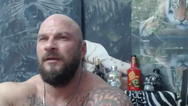 viking_30 Show in webcam