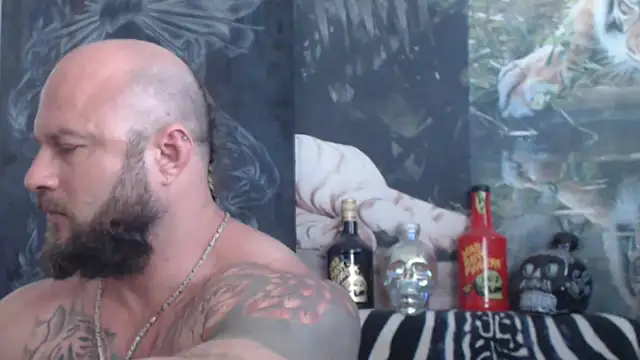 عرض كام viking_30
