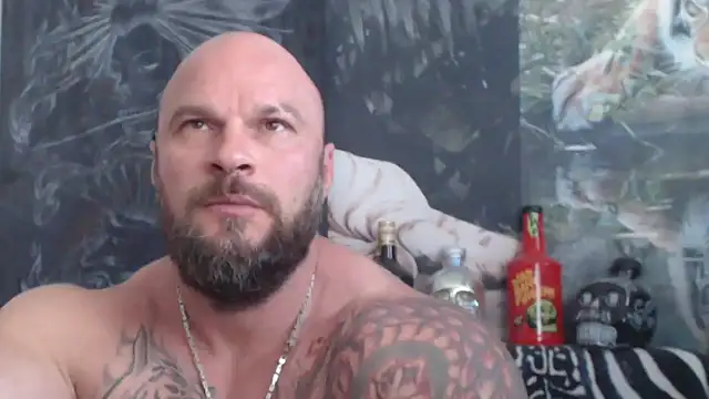 viking_30 Show in webcam