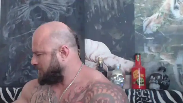 viking_30n Webbikameraesitys