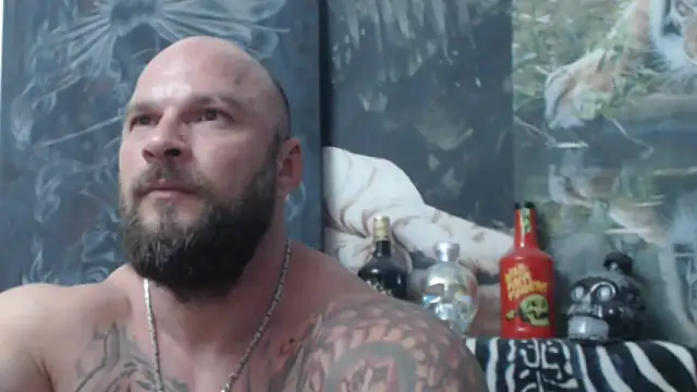 viking_30 Show in webcam