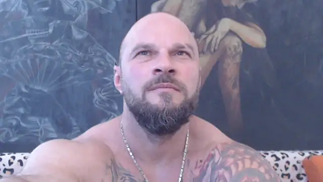 Show webcam de viking_30