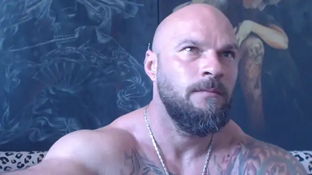 viking_30 webcam show
