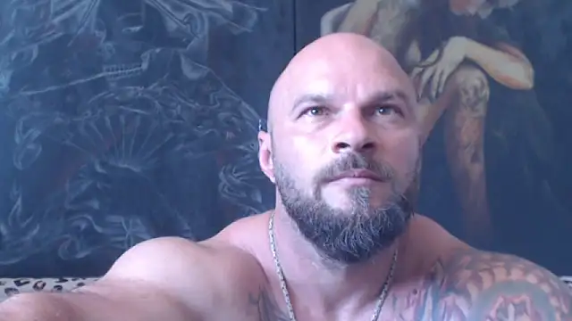Show webcam de viking_30