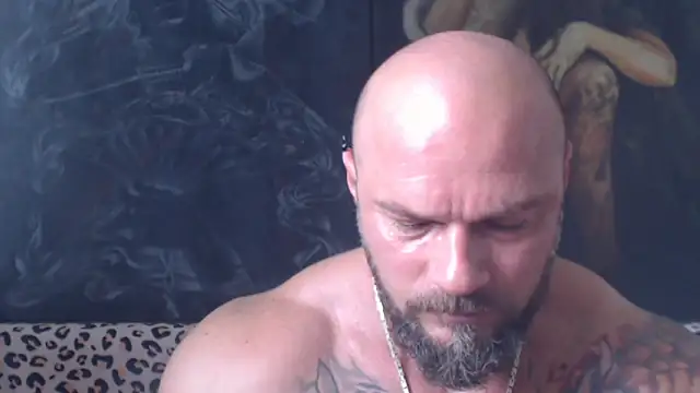 Show webcam de viking_30