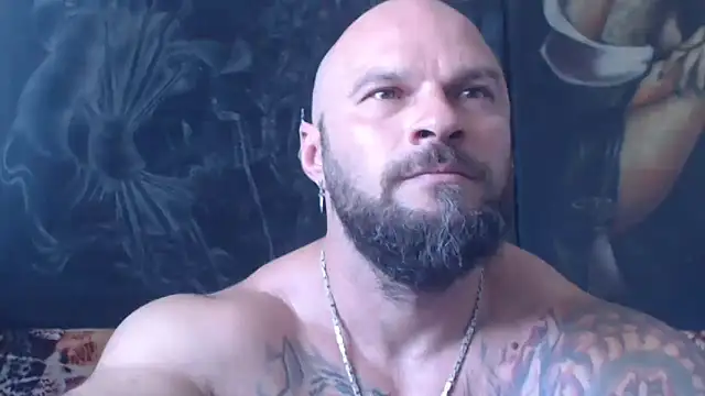 عرض كام viking_30