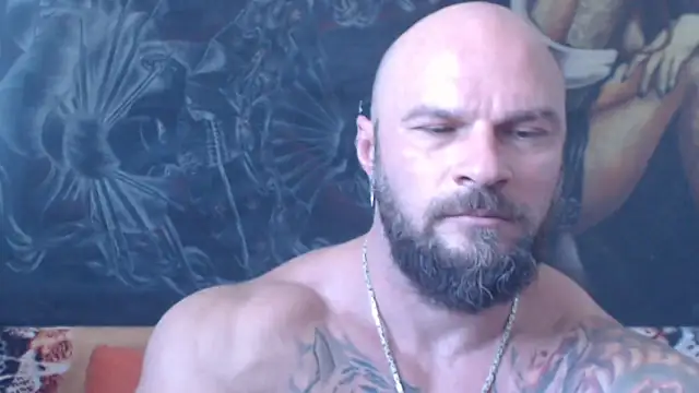 Show webcam de viking_30