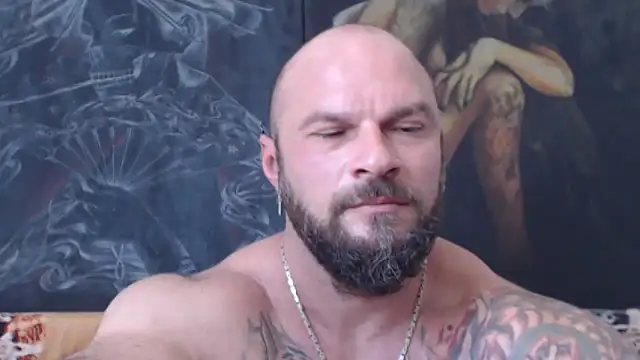 viking_30n Webbikameraesitys
