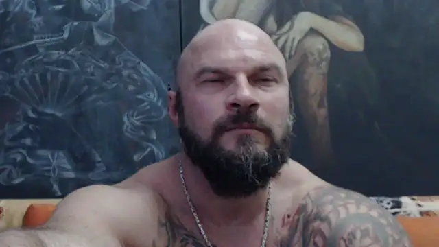 Show webcam de viking_30