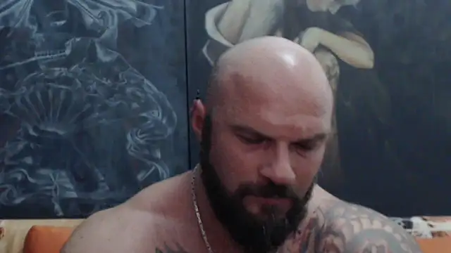 Show webcam de viking_30