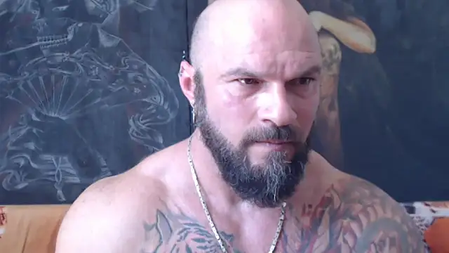 viking_30n Webbikameraesitys