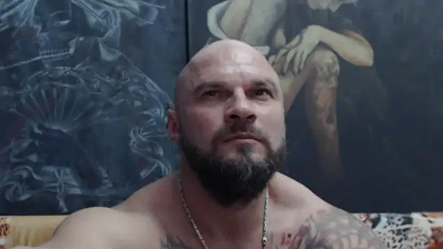 viking_30n Webbikameraesitys