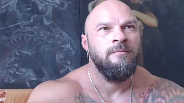 viking_30 Show in webcam