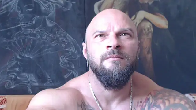 viking_30n Webbikameraesitys