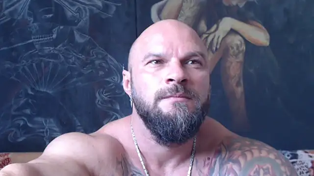 Show webcam de viking_30