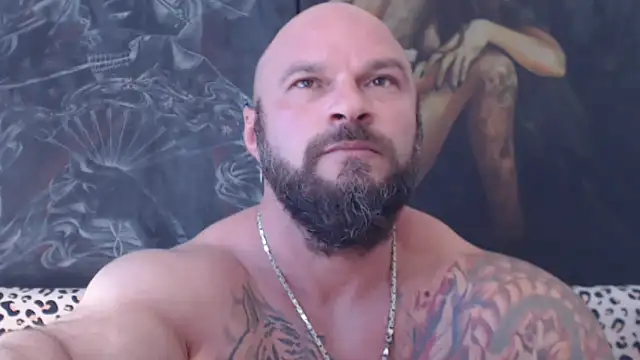 viking_30n Webbikameraesitys