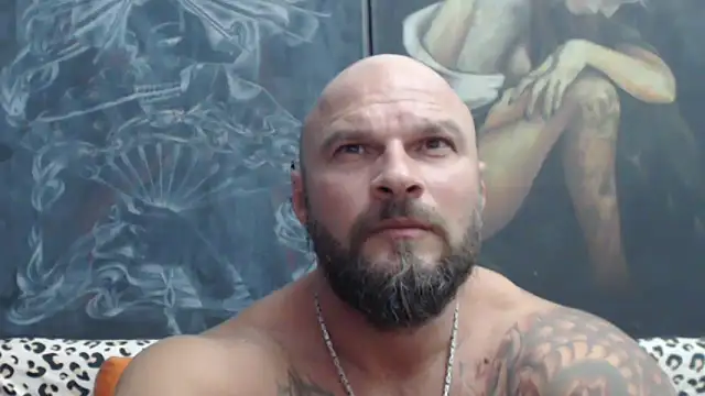 viking_30n Webbikameraesitys