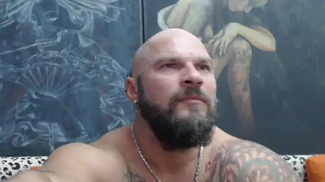 viking_30 Show in webcam
