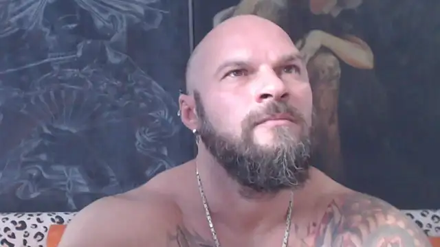 Show webcam de viking_30