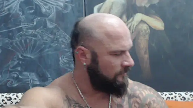 הופעת וובקאם של viking_30