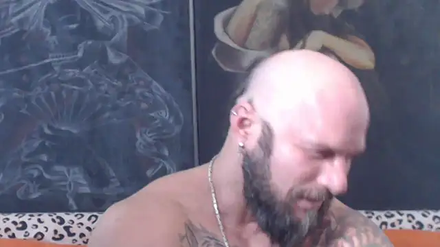 Show webcam de viking_30