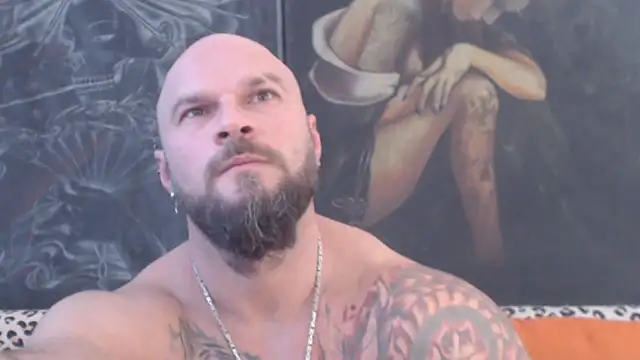 Show webcam de viking_30