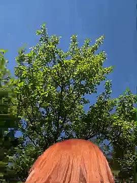 LadyDreams11 Webcam-Show
