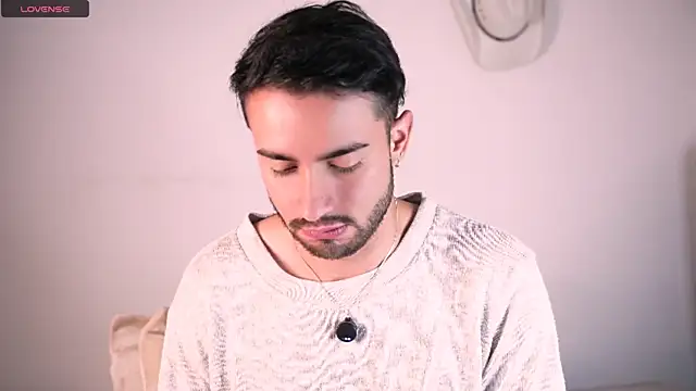 aydan_hw 网络视讯表演