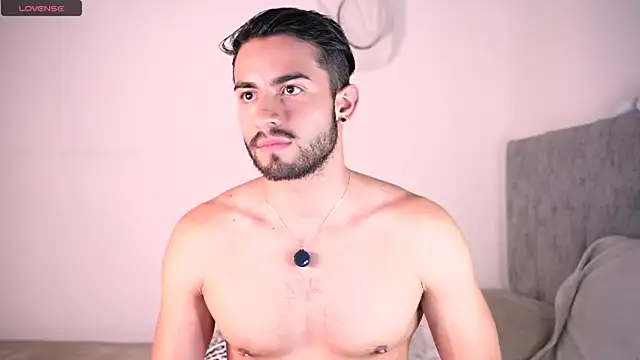 aydan_hw 网络视讯表演