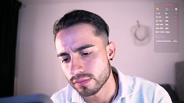 aydan_hw 网络视讯表演