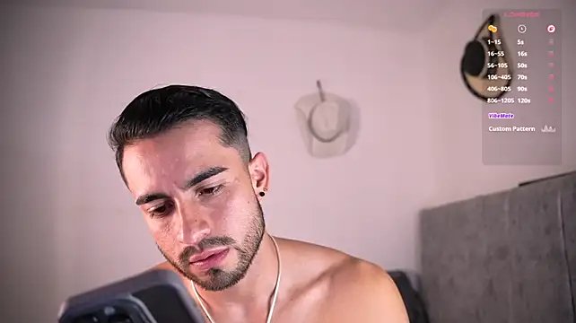 aydan_hw 网络视讯表演