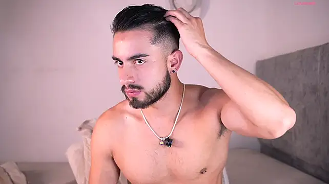 aydan_hw 网络视讯表演