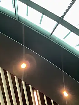 Wet__Bunny 실시간 채팅방