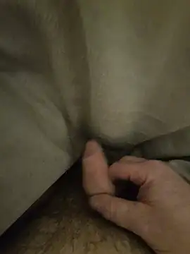 Letshavefunandcum Webcam show
