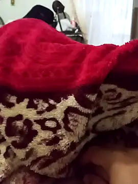 Pokazy przed kamerk ą – Edsondsos