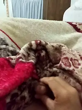 Edsondsos webkamerás műsora