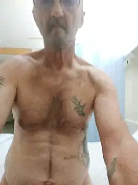roystark22 Webcam show