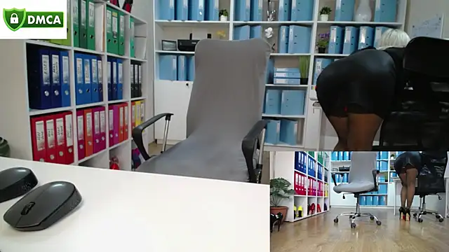 secret-office: διαδικτυακό σόου στην κάμερα