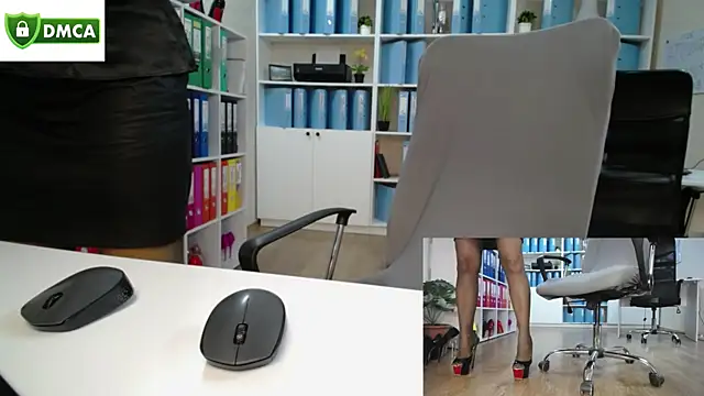 Show modela secret-office na web-kameri