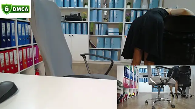 secret-office 网络视讯表演