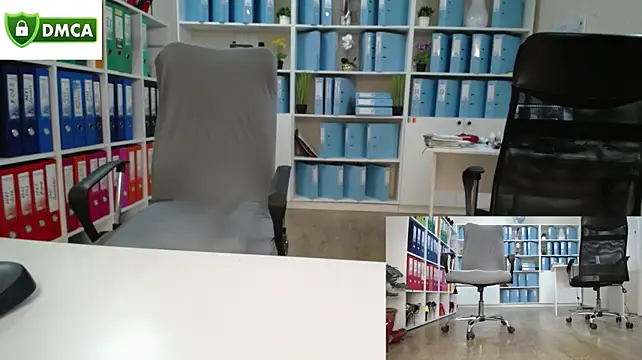 secret-office webkamerás műsora
