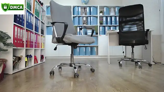عرض كام secret-office