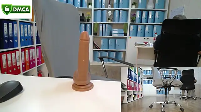 Show de secret-office na webcam