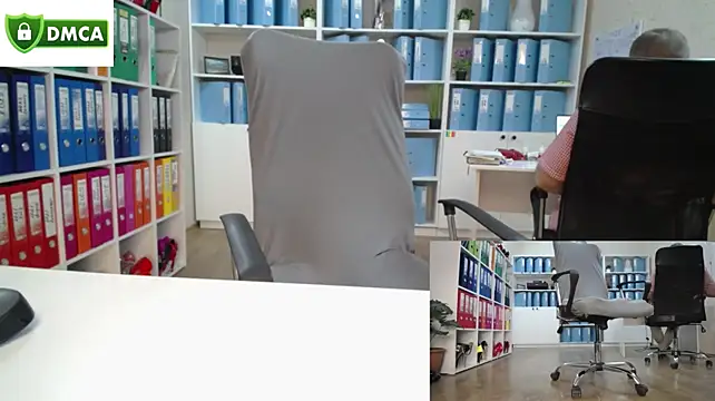 secret-office: διαδικτυακό σόου στην κάμερα