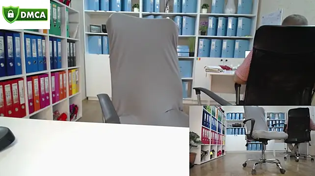 secret-office: вебкам-шоу