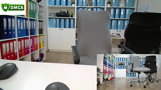 secret-office: вебкам-шоу
